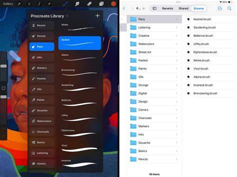 procreate shape brush library infographic