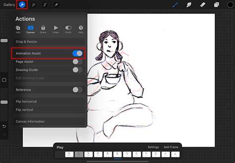 Procreate Animation Assist interface overview