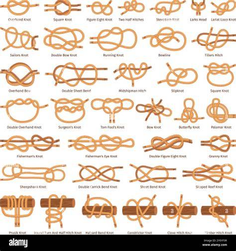 Rope texture samples and knot variations along borders