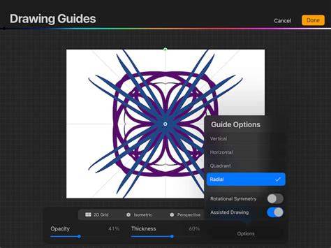 Symmetry in Procreate workflow visual