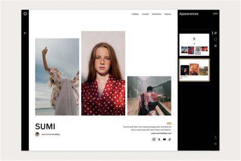 VSCO profile layout visual guide