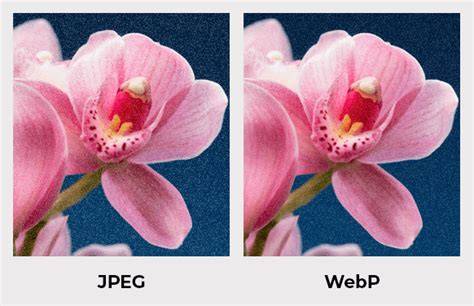 WebP vs JPEG vs PNG comparison chart