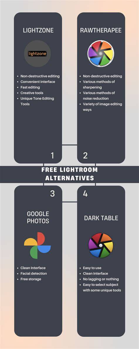 free and perpetual Lightroom alternatives infographic