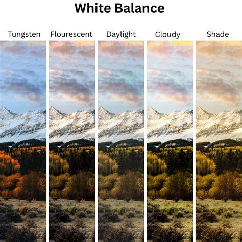 quick white balance neutral point example
