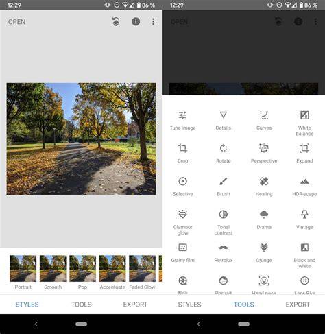 illustrative Snapseed interface and tools