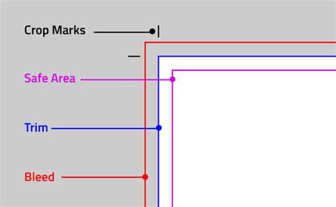 bleed area and trim edge visualization
