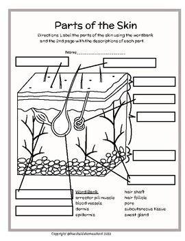 black and white color pop layers diagram
