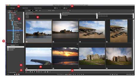 Canon Digital Photo Professional interface overview