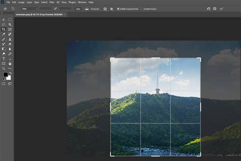 Photoshop crop tool overlays and grid