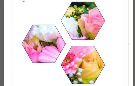 InDesign clipping with shapes and pasted image