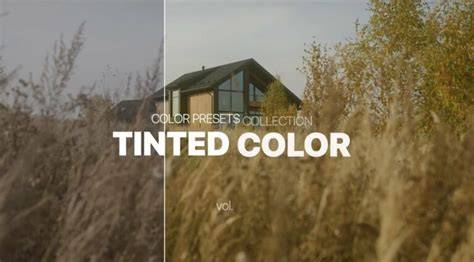 color grading presets overview infographic