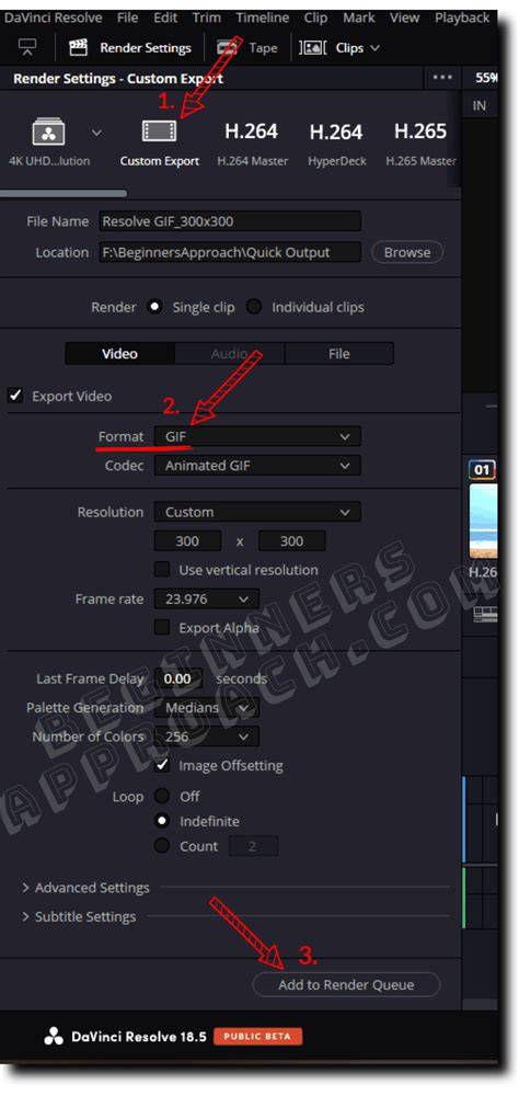 gif export settings DaVinci Resolve (illustrative plan)