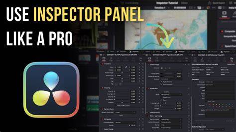 visual layout of Davinci Resolve Inspector panel