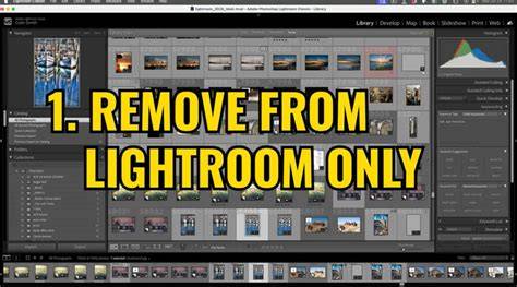infographic of Lightroom duplicate finder workflow