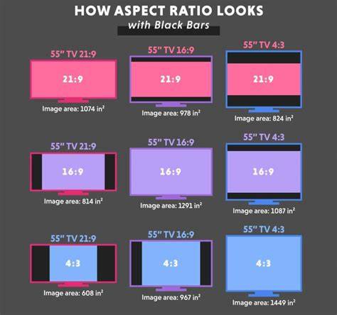 Creator Themes with multiple aspect ratios and vibrant backgrounds