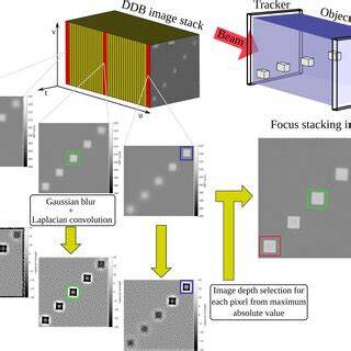 focus stacking workflow diagram