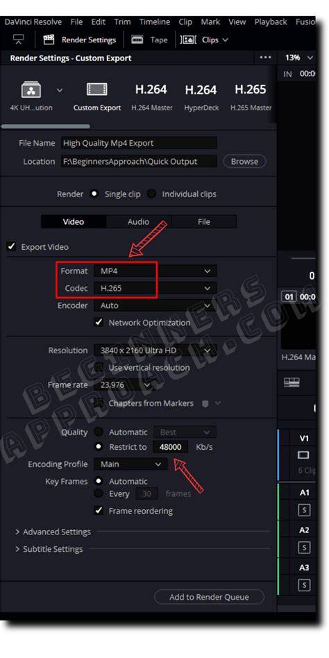 render settings panel MP4 H.264 example
