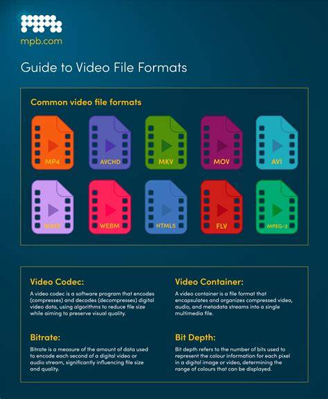 infographics on file formats and codecs