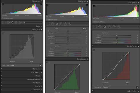 Curves panel and workflow visuals for tone adjustments