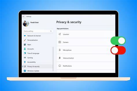 Privacy settings for screen recording and camera