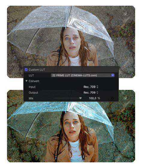 Free LUTs for color grading and cinematic look