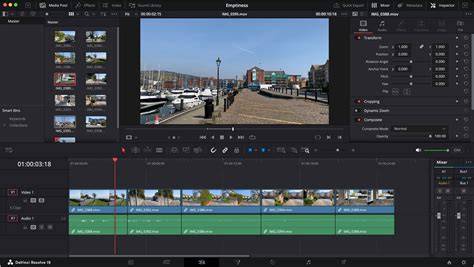 DaVinci Resolve Edit page workflow diagram