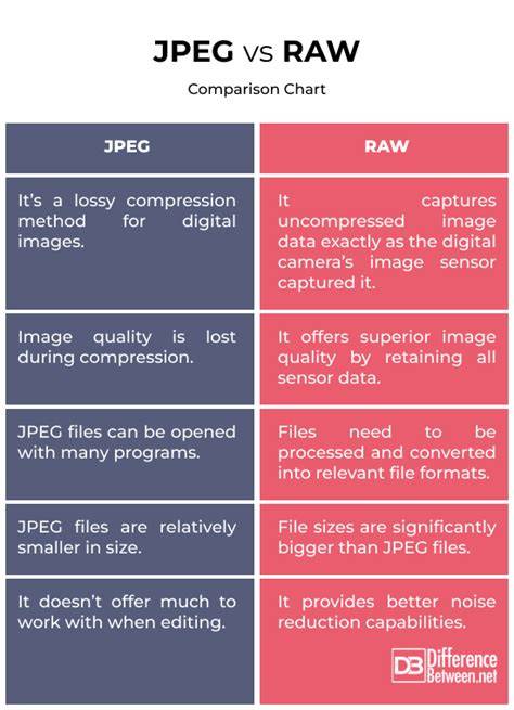 infographic_heic_vs_jpeg_and_raw