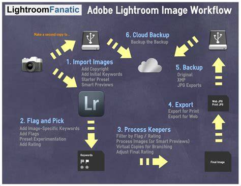 Lightroom file management flow infographic