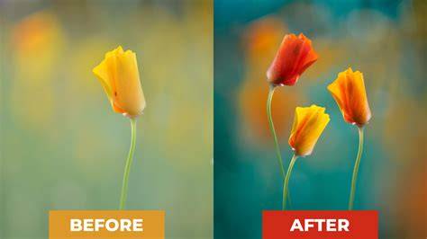 Before-and-after image editing examples in Photoshop