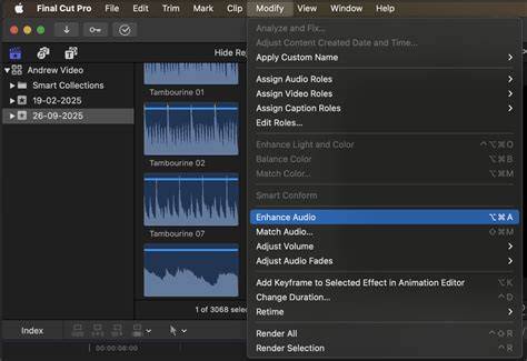 visual guide to Final Cut Pro audio effects