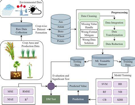 Workflow diagram: crop to selection steps