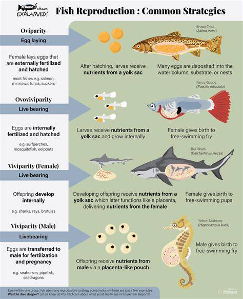fishes_reproductive_strategies_diagram