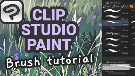 clip studio brush transfer infographic