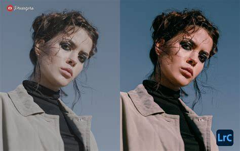visual comparison of preset looks (before after)