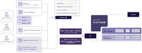 Kapwing Platform Interface Overview