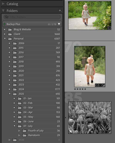 Lightroom catalog folder structure visual