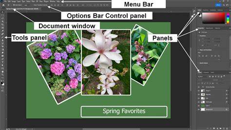 Overview of Photoshop Elements workspaces