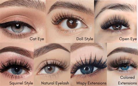 illustrated guide to lash shapes and band types